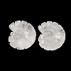 Natural Quartz Crystal Conch Display Decorations DJEW-D303-01E-1