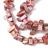 Natural Freshwater Shell Beads Strands BSHE-H018-07B-3