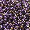 Glass Seed Beads SEED-H002-B-D214-3