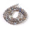 Natural Labradorite Beads Strands G-O176-04B-3