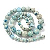 Natural Fossil Graduated Beads Strands G-F830-A03-01E-4