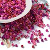 Baking Paint Glass Seed Beads SEED-S042-05A-09-1