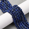 Natural Lapis Lazuli Beads Strands G-F808-K01-01-1