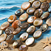 2 Strands Natural Paua Shell Beads Strands BSHE-PA0001-09-5