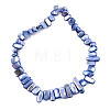 Natural Freshwater Shell Beads Strands SHEL-N026-123G-3