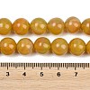 Handmade Lampwork Beads Strand LAMP-B056-10mm-04-5