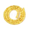 Natural Freshwater Shell Beads Strands SHEL-Q028-01C-2