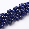 Dyed Grade A Natural Lapis Lazuli Beads X1-GSR8mmC123-1