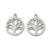 304 Stainless Steel Charms STAS-P433-05P-1