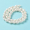 Natural Cultured Freshwater Pearl Beads Strands PEAR-Z002-21-3