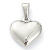 304 Stainless Steel Pendants LS-STAS-P278-01J-P-2