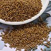 MIYUKI Delica Beads X-SEED-J020-DB2273-1