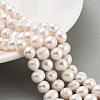 Natural Cultured Freshwater Pearl Beads Strands PEAR-C003-15D-2