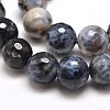 Dyed Natural Agate Faceted Round Beads Strands G-E269-06-2