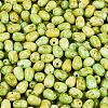Picasso Glass Seed Beads SEED-N012-10I-3