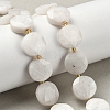 Natural Rainbow Moonstone Beads Strands G-C116-A168-03-1