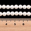 Electroplated Shell Pearl Beads Strands BSHE-C011-02-4