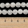 Natural Quartz Crystal Beads Strands G-E571-A11-02-5