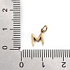 304 Stainless Steel Charms SA-CBABF3F-01G-M-3