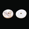 Natural Freshwater Shell Beads Strands SHEL-N037-03A-01-3