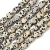 Natural Dalmatian Jasper Beads Strands G-C286-A09-2