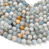 Natural Aquamarine Beads Strands X-G-F591-29B-10mm-01-4