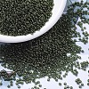 MIYUKI Round Rocailles Beads SEED-JP0008-RR0306-1