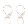 Ion Plating(IP)  304 Stainless Steel Leverback Earring Findings STAS-U025-01S-02-1