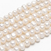 Natural Cultured Freshwater Pearl Beads Strands X-SPPA004Y-1-2