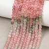 Gradient Color Natural Red and Green Strawberry Quartz Beads Strands GG-NH0007-C02-01-2