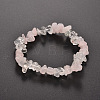 Chips Gemstone Beaded Stretch Bracelets BJEW-JB01825-2