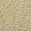 MIYUKI Round Rocailles Beads SEED-X0055-RR0577-3