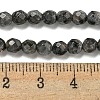 Natural Larvikite Beads Strands G-E571-A09-04-5