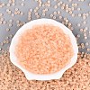 FGB Frosted Transparent Glass Seed Beads SEED-N013-02A-03-2