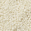 Baking Paint Glass Seed Beads SEED-P006-03A-06-3