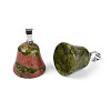 Natural Unakite Pendants G-N349-15P-04-2