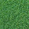 MIYUKI Round Rocailles Beads SEED-G007-RR0259-3