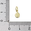 Rack Plating Brass Enamel Charms KK-M293-40G-01-3