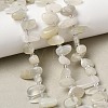 Natural Moonstone Beads Strands G-P604-A27-01-1
