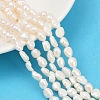 Natural Cultured Freshwater Pearl Beads Strands PEAR-P064-20I-01A-1