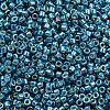 MIYUKI Delica Beads X-SEED-J020-DB2515-2