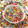 Baking Paint Glass Seed Beads SEED-K009-01A-01-2