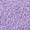 MIYUKI Delica Beads SEED-MY11-DB0629-3