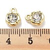 Rack Plating Alloy Rhinestone Charms PALLOY-F311-17G-01-3