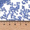 8/0 Ceylon Round Glass Seed Beads X-SEED-A011-3mm-146-4