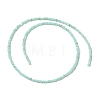 Natural Freshwater Shell Beads Strands SHEL-P017-01A-08-2