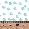6/0 Transparent Inside Colours Glass Seed Beads SEED-N008-08G-4
