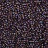 TOHO Round Seed Beads SEED-XTR08-0166BF-2