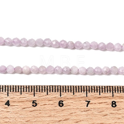 Natural Kunzite Beads Strands X-G-G343-B04-3mm-1