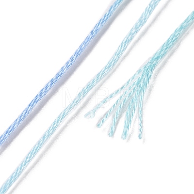 10 Skeins 6-Ply Polyester Embroidery Floss OCOR-K006-A11-1